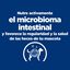 10 kg Hill's Prescription Diet Gastrointestinal Biome Pollo pienso para perros, , large indicador imagen numero 5